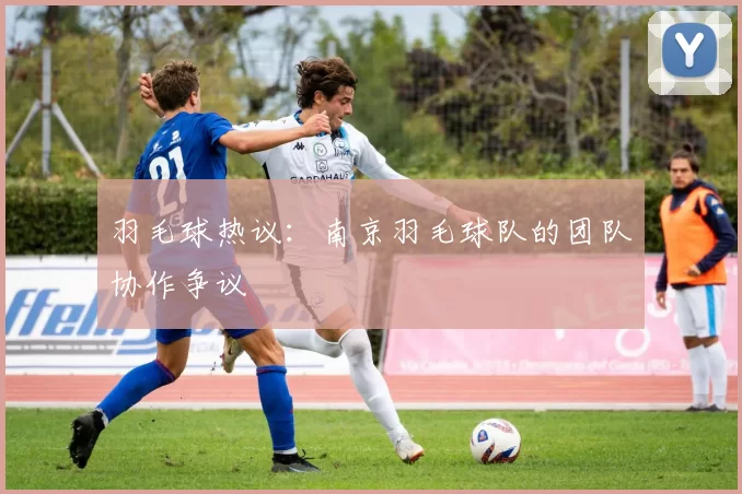 羽毛球热议：南京羽毛球队的团队协作争议