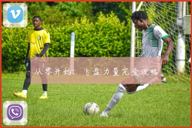 从零开始：飞盘力量完全攻略